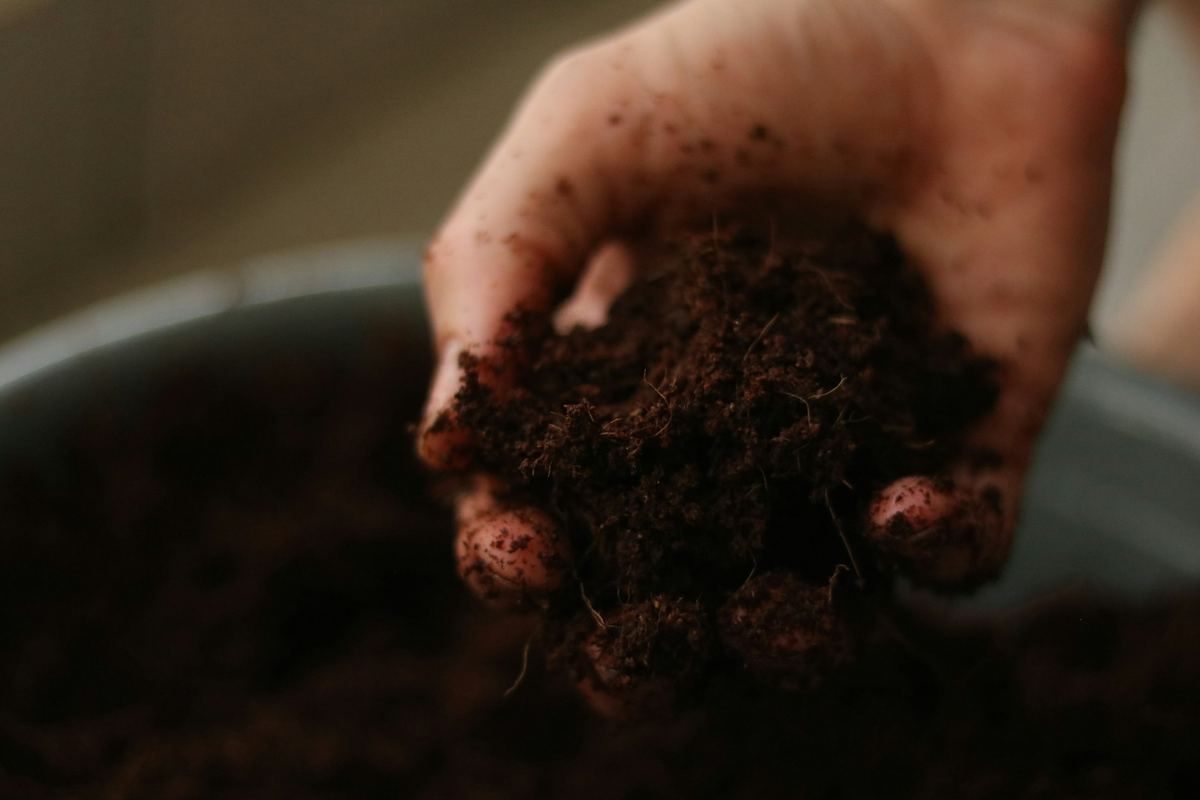 A hand holding a clump of dark farm soil